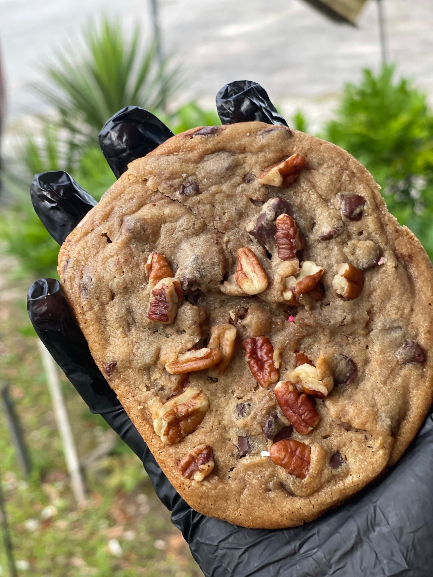 Brown Butter Chocolate Chip Pecan Big Azz Cookie