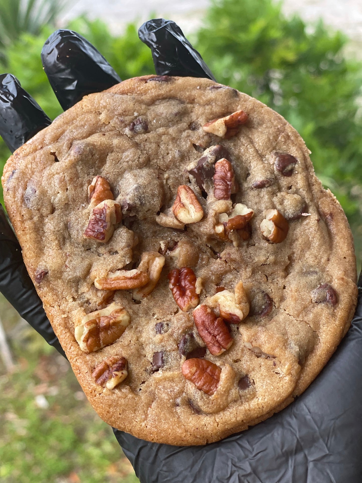 Brown Butter Chocolate Chip Pecan Big Azz Cookie